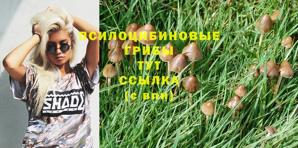 соль курить ск Бежецк