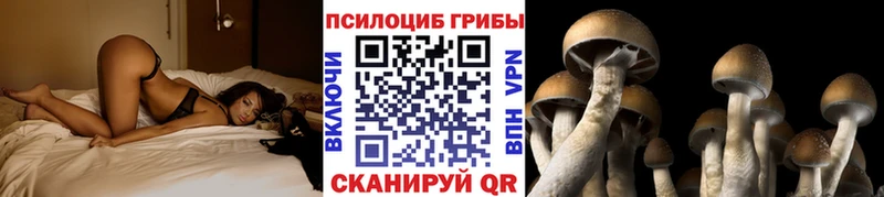 Псилоцибиновые грибы Psilocybine cubensis  mega ONION  Искитим 