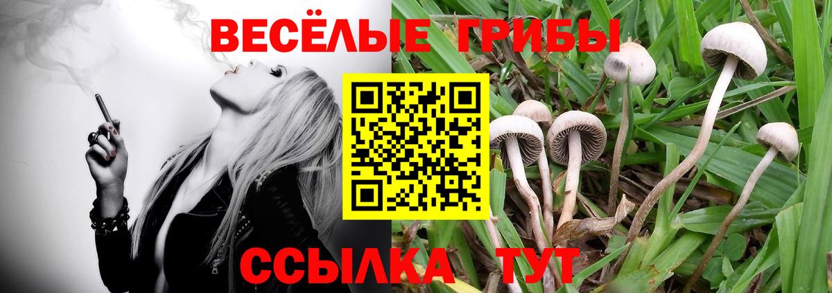 Псилоцибиновые грибы Magic Shrooms Искитим